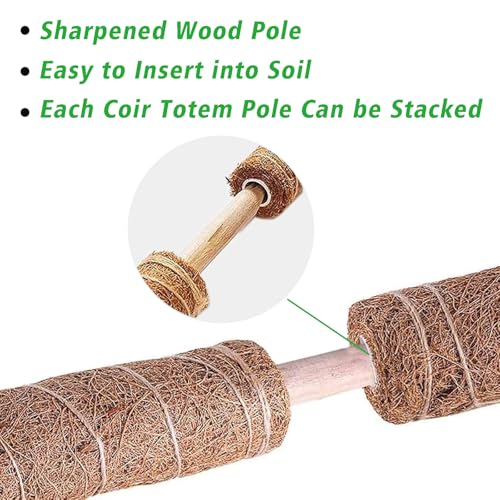 4 Pcs 15.7 Inch Coir Moss Totem Pole Monstera Plant Support with 2 Pcs 32.8ft Jute Rope, Plant Stakes for Indoor Plants Climbing, Support Extension(4 Packs 15.7 Inch) - view 3