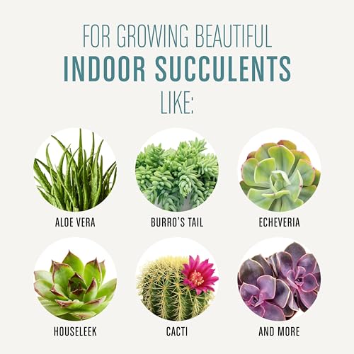 Succulent Potting Mix, 4 qt. - view 4