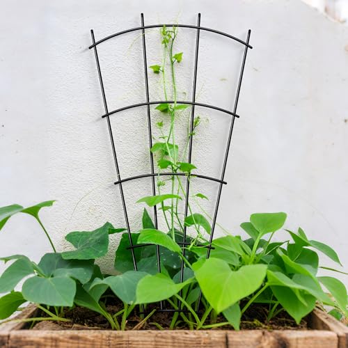 32" Metal Plant Trellis, Climbing Plant Support, 4 Pack Black - view 4