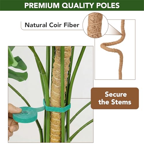 Bendable Moss Pole Monstera Plant Support, 63 Inch, 2 Pack, 10 Feet Plant Ties, Moss Poles for Climbing Plants and Monstera Trellis - view 6