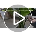 5PCS Metal Plant Stem Support-Monstera Stabilizer Grapple Holder - view 7