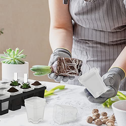 60Pcs 3" Clear Nursery Pot with 100Pcs Plant Labels, Square Planting Pots - view 6
