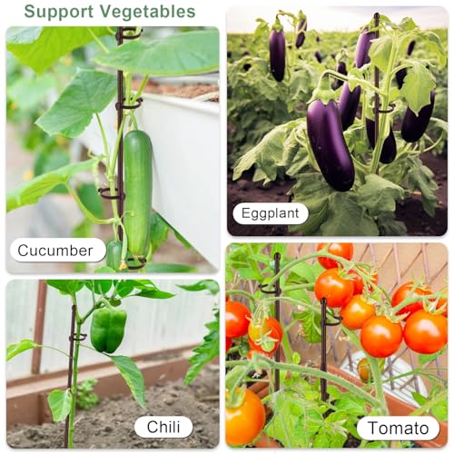 20Pcs Plant Support Stakes 17 inch Garden Orchid Sticks Extended to 3ft 4ft 5ft Plant Poles with Clips for Indoor Outdoor Potted Tomato Rose Amaryllis Vegetables Comes with 20 Ties(Brown) - view 5