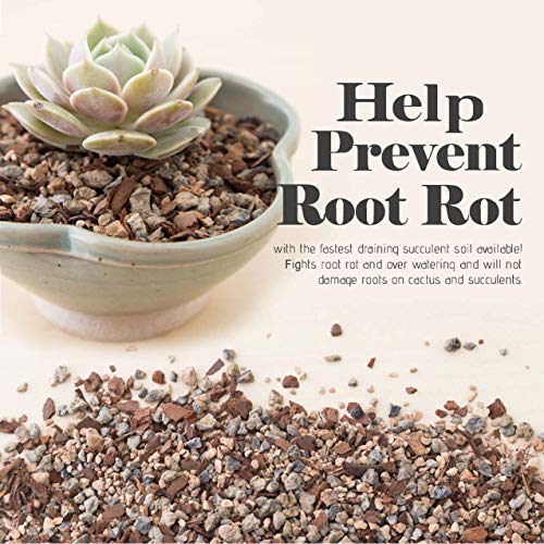 Succulent, Cactus and Bonsai Soil - Jacks Gritty Mix - 12 Gallons – Fast Draining – Fight Root Rot – Optimized pH - view 2