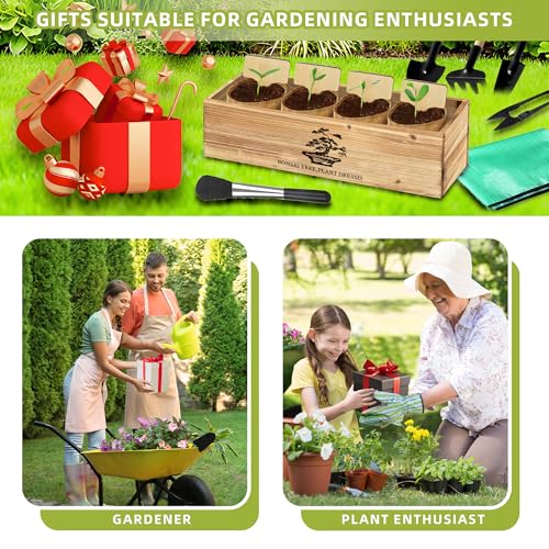 Premium Bonsai Kit,Complete Bonsai Starter Kit with Wooden Gift Box,repotting mat, Burlap Pots & Gardening Tools, DIY Bonsai Plant Set for Adults & Beginners (Seeds Excluded)Birthday Thanksgiving gift - view 7