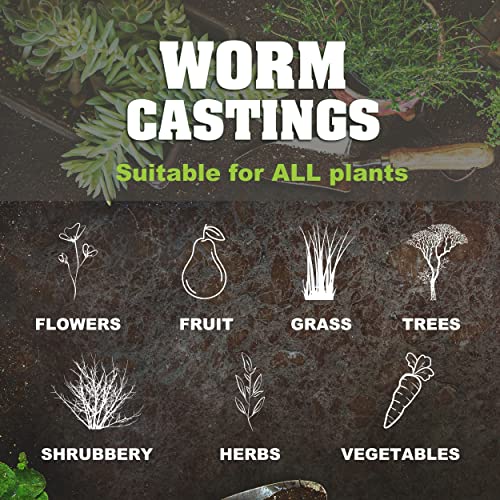 20 oz 100% Organic Worm Castings – Natural Superfood for Plant Growth, Root Development & Growing Healthier, Stronger Crops – Non Toxic & Kind to Soil – Resealable Zip Pouch - view 6