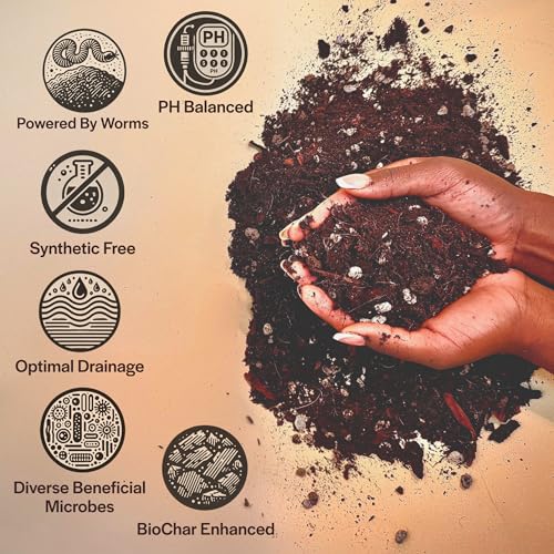Craft Aroid Potting Mix- Elite Organic Alocasia, Philodendron, Monstera Soil Mix, Chunky, Well Draining Potting Soil for Indoor Plants, All Tropical Plants & Houseplants, Sustainable & Peat Free, 4QT - view 3