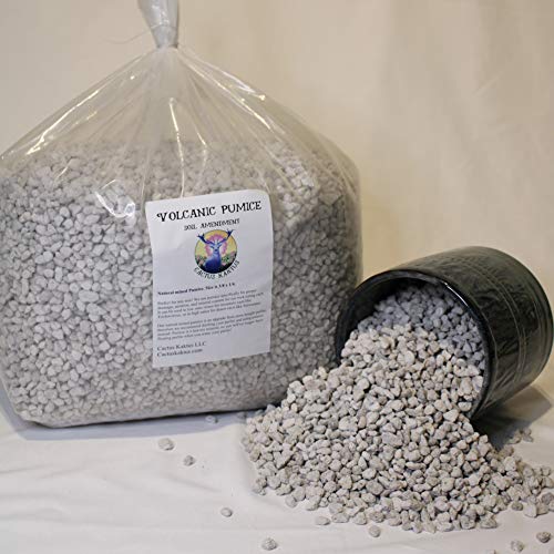 Horticultural Pumice - 14 Dry quarts - Cactus Succulent Soil Amendment - view 2