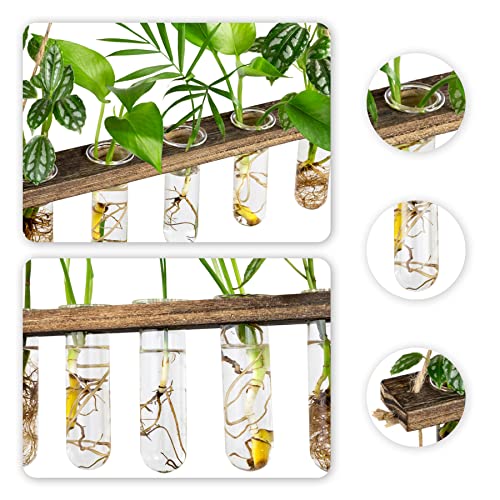 3 Tier Wall Hanging Propagation Stations with 15 Glass Test Tubes, Plant Terrarium Propagation Tubes Planter for Hydroponic Cuttings, Window Decor Gift for Plant Lovers - view 5