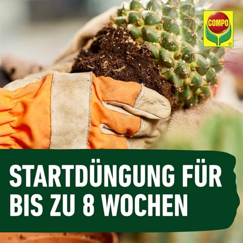 1122102004 Cactea Cactus and Succulent Soil (5 litres) - view 7