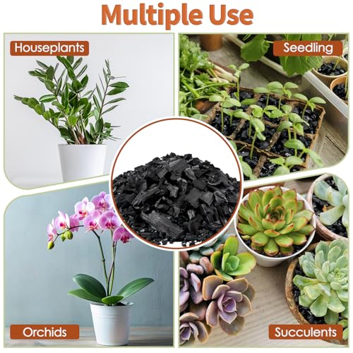 Horticultural Charcoal, Premium 1QT Activated Charcoal for Plants - view 5
