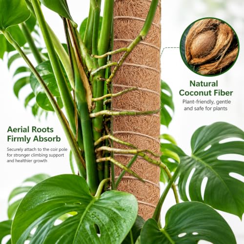 Moss Pole Monstera Plant Support, Extended to 48 Inch, 4 Pack 16 in - view 2