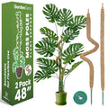 2 Pack 48'' Bendable Moss Pole Monstera Plant Support for Climbing Indoor Plants - Stakes for Potted Climbers - Tall Sticks Indoor Trellis for Houseplants - Accessories for Monstera Pot