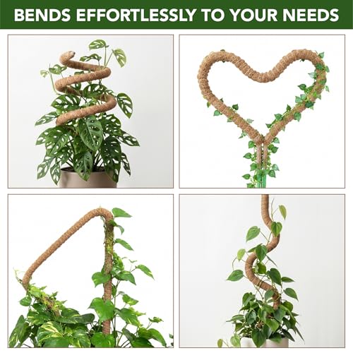 Bendable Moss Pole Monstera Plant Support, 63 Inch, 2 Pack, 10 Feet Plant Ties, Moss Poles for Climbing Plants and Monstera Trellis - view 3