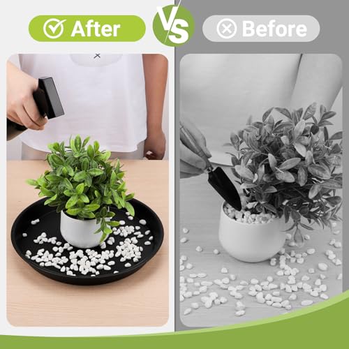 12 Inch Plant Saucer, Black Plant Plates to Catch Water, Pebble Tray for Plant Humidity, Flower Pot Saucers for Indoor and Outdoor Garden(2PCS) - view 4