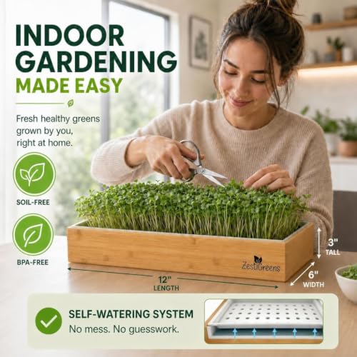 Microgreens Growing Kit - Self-Watering Tray with US Premium Seeds - view 2