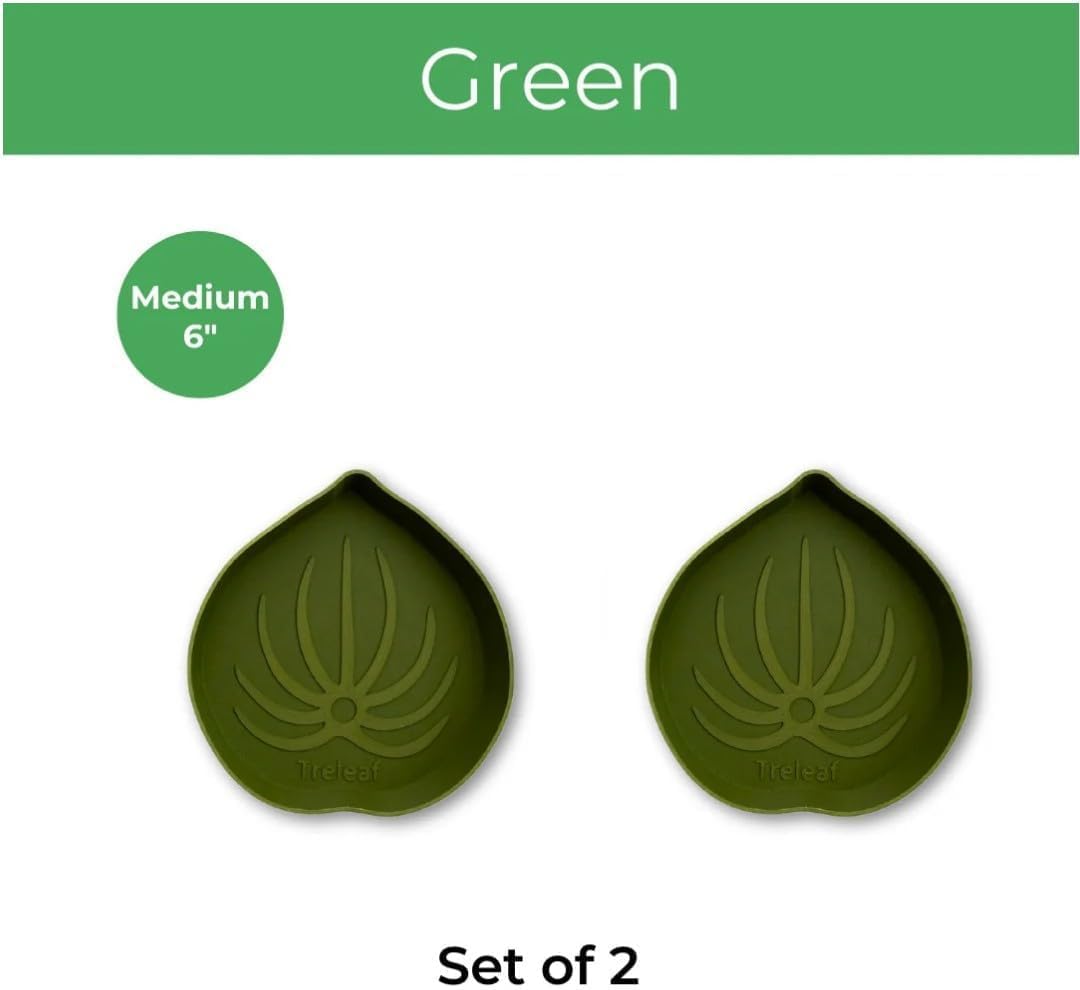 Mia Bottom Watering Plant Saucer – 6 inches Self-Watering Plant Tray for Indoor Plants, Leaf-Shaped Pot Saucer with Water Reservoir for Healthy Root Growth - Green (2 Pack) - view 3