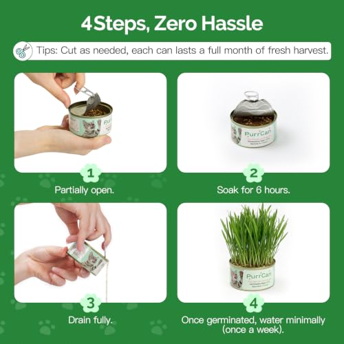Cat Grass Growing Kit – 6 Cans, Non-GMO Organic Wheat Seeds - view 4