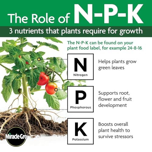 Indoor Plant Food Spikes, Includes 24 Spikes - Continuous Feeding for all Flowering and Foliage Houseplants - NPK 6-12-6 - view 2