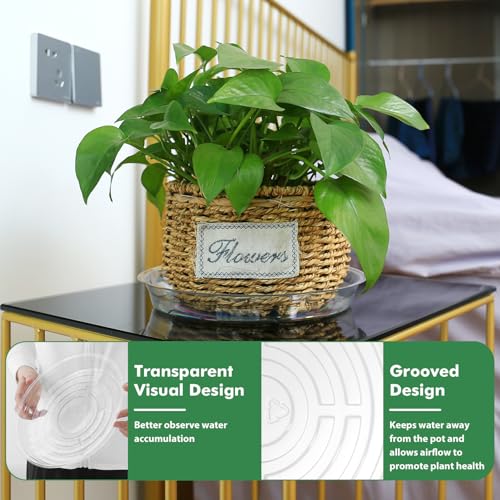 60 Pack 6 Inch Plant Saucer Clear Plant Saucers for Indoors Flower Pot Saucers Small Plants Plate Dish Succulent Pot Saucer Plants Trays for Pots Bulk Plastic Tray for Flower Cactus Nursery Pots - view 5