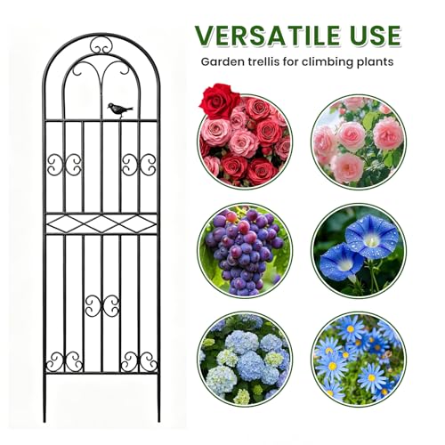 2 Pack 86.6" x19.7 Metal Gardon Trellis for Climbing Plants Outdoor, Black - view 5