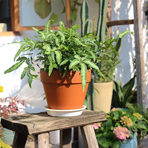 12 Pack 4.55 Inch White Plastic Round Plant Pot Saucer - view 4