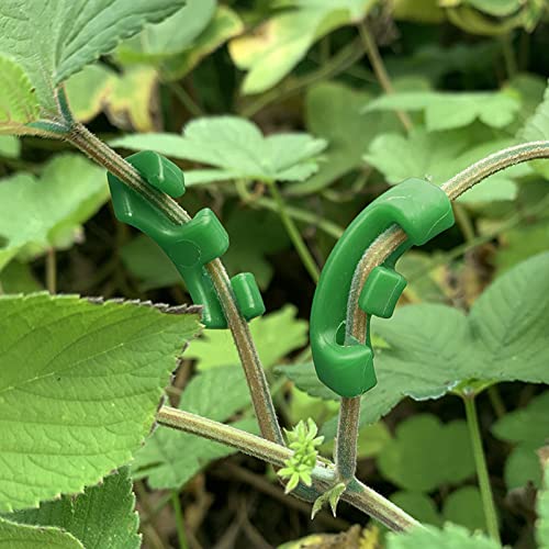 36Pcs 90 Degree Plant Trainer Clips for Low Stress Training and Trellis Growth - Bend Stems, Increase Yield & Airflow - view 6
