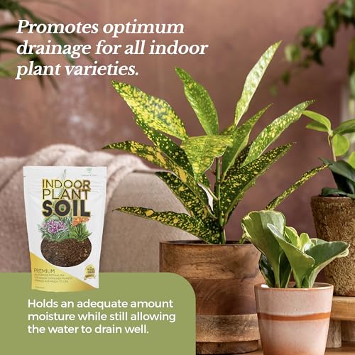 Professional Indoor Plant Soil Mix Large 2.2 Quarts Ready to Use, Premium Potting Soil for Indoor Houseplants Container Plants, Peat Coco Coir Perlite Dolomite Blend Made in USA (Pack of 2) - view 4