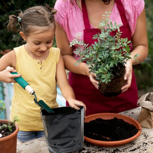 1/4 Gallon 100 Pcs Thicken Seedling Nursery Bags, 3.9" x 6.1" Deep Plastic Grow Bags with Drainage Holes, Heavy Duty Plant Starter Pots for Vegetables, Flowers, Succulents and Cuttings - view 5