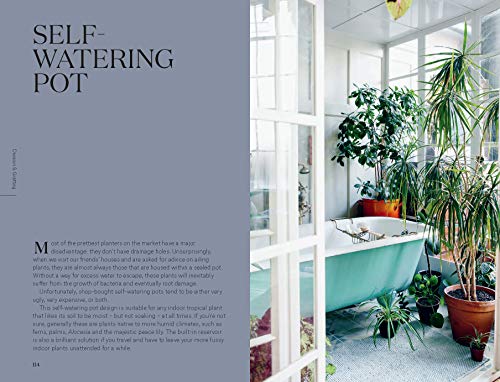 Root, Nurture, Grow: The Essential Guide to Propagating and Sharing Houseplants - view 4