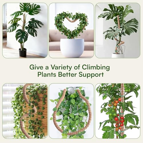 2 Pack 48'' Bendable Moss Pole Monstera Plant Support for Indoor Climbing Plants, Tall Plant Stick Support Stake for Potted Plants, Pothos, Philodendron - view 5
