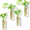 Wall Hanging Vases, 4 Pack Glass Plant Propagation Tubes