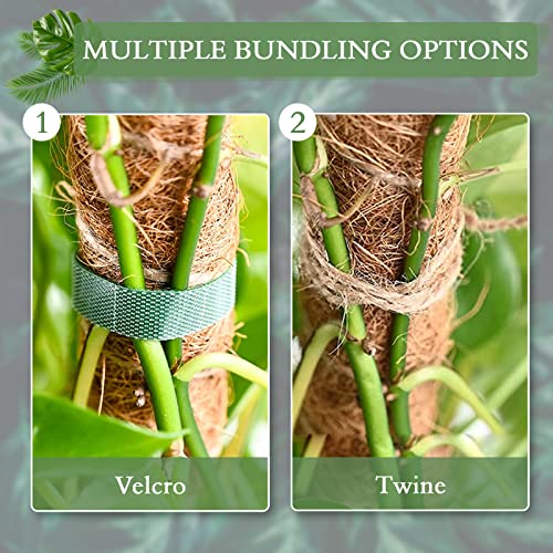 2 Pack Moss Pole for Plants Monstera - 25 Inch Plant Stakes for Indoor, Moss Poles for Climbing Plants, Handmade Coco Coir Pole Plant Support for Creeper Plants Grow Upwards（Handmade Palm） - view 3