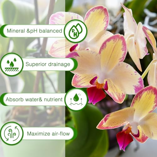 Orchid Bark Potting Mix,Premium Orchid Potting Mixture of Pine Bark,Perlite - view 5