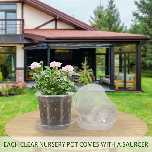 20 Pack 3 Inch Clear Nursery Pots with Drainage and 20 Pack Plant Saucers, Plant Pots for Plants Transparent Potting Containers for Plants Seeding Starter Pot (Clear, 3 Inch) - view 6