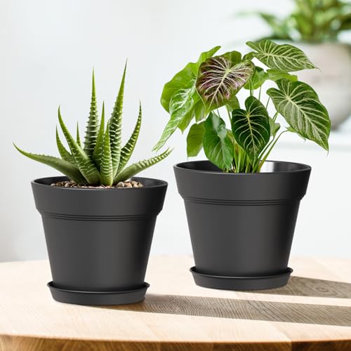 4 Inch Plastic Plant Pots with Drainage Holes and Trays – 8 Pack Small Nursery Pots for Indoor & Outdoor House Plants and Flowers, Seedling Starter Planters, Matte Black - view 5