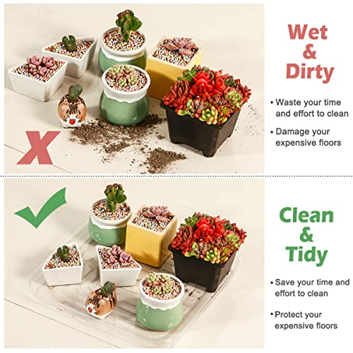20 Pack Plant Saucers for Indoors 4 Inches Plant Trays for Pots Plastic Trays for Plants Square Plant Drip Trays for Potted Plants Flower Pot Saucers Clear Plant Plates to Catch Water, Bulk - view 2