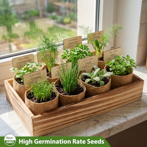 Indoor Herb Garden Kit, Complete Herb Starter Growing Kit with Seeds & Tools, Unique Christmas Birthday Gifts for Women Men Mom Dad, House Warming New Home Kitchen Gifts for Plant Lovers - view 6