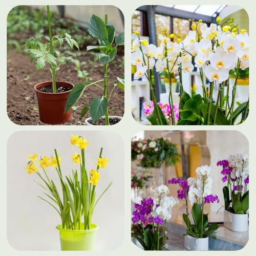 16.5Inch Plant Support Stakes 10Pcs for Garden Plants and Flower - view 5