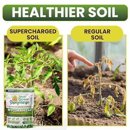 Mycorrhizae with Beneficial Bacteria for Plants - Supercharge - view 4