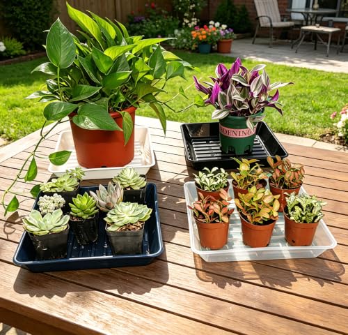 6 Pack 8 Inch Square Plant Saucer Drip Tray, Heavy Duty Plastic Water Catcher for Indoors Outdoors, Clear - view 6