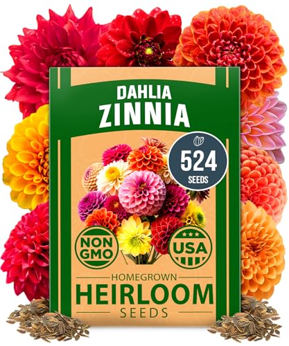 Luffa & Zinnia Dahlia Seed Pack – 564+ Heirloom 𝗡𝗢𝗡-𝗚𝗠𝗢 USA Seeds | Grow Loofah Sponges & Colorful Pollinator Flowers | Easy Garden Kit for DIY & Outdoor Planting - view 3