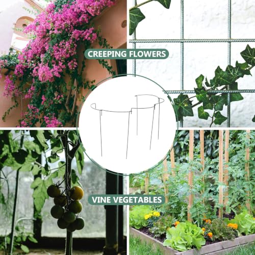 5pcs Green Iron Arc Plant Trellis Support Bracket for Climbing Plants - view 6