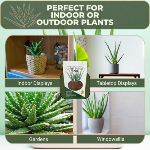 Professional Aloe Plant Soil Mix Large 8.2 Quarts Ready to Use, Premium Potting Soil for Aloe Vera Cactus Succulent Plants, Fast Draining Blend Pinebark Peat Course Sand Indoor Made in USA - view 6