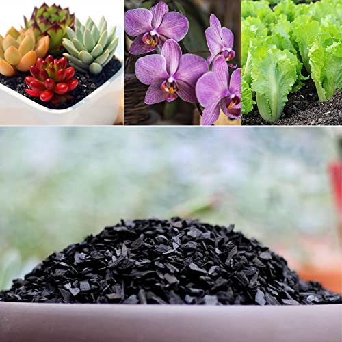 Horticultural Charcoal for Plants 1 qt, All Natural Hardwood Charcoal, Activated Charcoal for Soil Amendment, Orchids, Terrariums, and Gardening - view 5