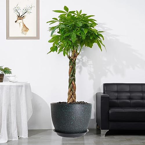 12/10/9 Large Modern Plant Pots, Plastic Planters with Drainage Holes and Saucers for Indoor Outdoor Plants Flowers, Black with Green Speckles - view 6
