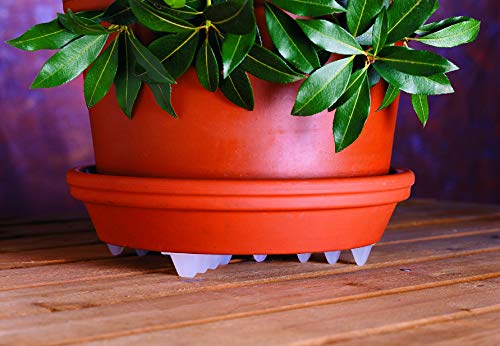 Down Under Plant Stand,12" - view 3