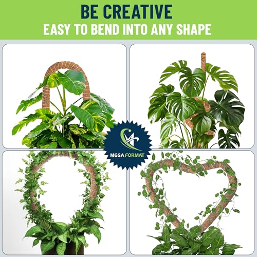 Moss Poles for Climbing Plants – Bendable Stake for Indoor Plants 28 Inch (2 Pack), Monstera Support, Moss Stick, Climbing Plant Support - view 4