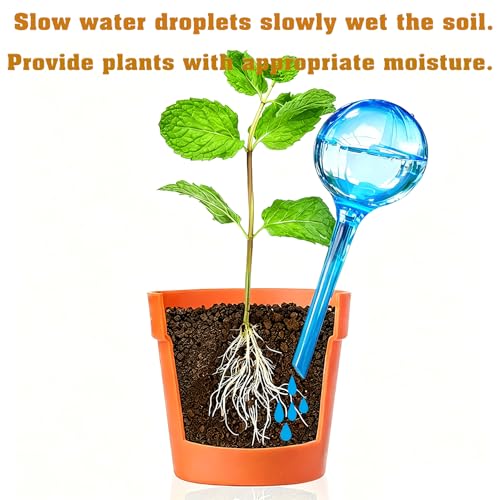 Self Watering Globes for Plant, 10pcs Auto Watering Bulb for Indoor Outdoor - view 6