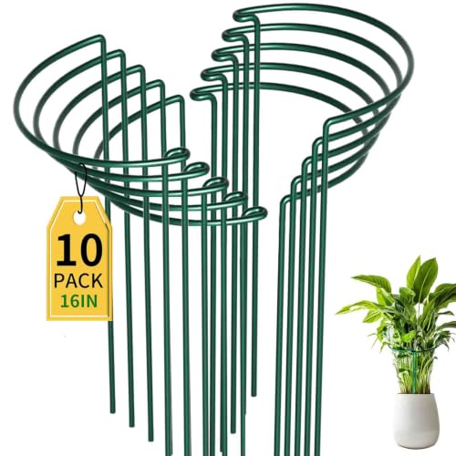 10 Pack Garden Plant Support Stakes,10" Widex16 High Heavy Duty Interlinked Half Round Peony Support Ring Cage for Indoor Outdoor Plants,Plant Supports for Peony,Tomato,Hydrangea,Rose
